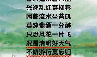 清明节最出名的十首诗